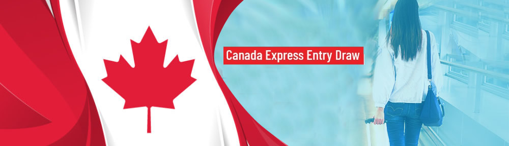 Express Entry invitation: What to do if you receive one?