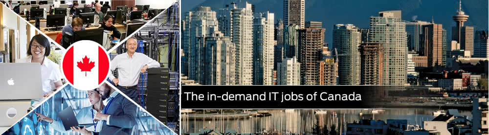 The in-demand IT jobs of Canada