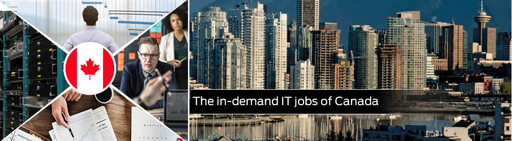 The in-demand IT jobs of Canada 
