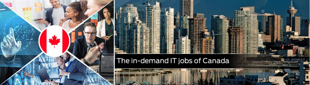 The in-demand IT jobs of Canada 